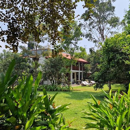 Villa Arana Μπεντότα Εξωτερικό φωτογραφία