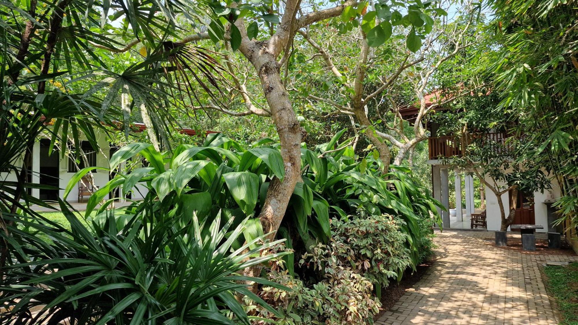 Villa Arana Μπεντότα Εξωτερικό φωτογραφία