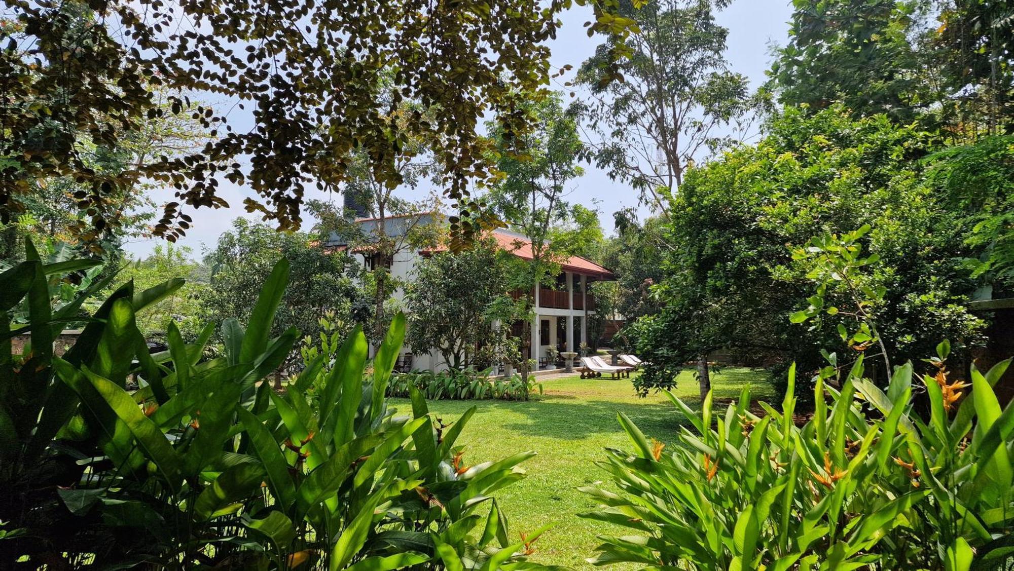 Villa Arana Μπεντότα Εξωτερικό φωτογραφία
