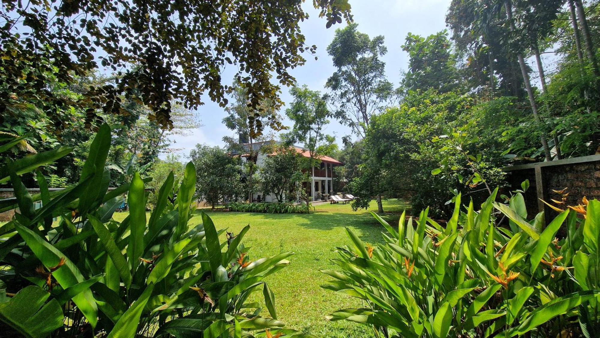 Villa Arana Μπεντότα Εξωτερικό φωτογραφία